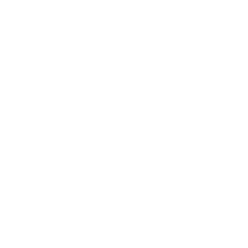 Concelaria gimnaziul grigore vieru (1)